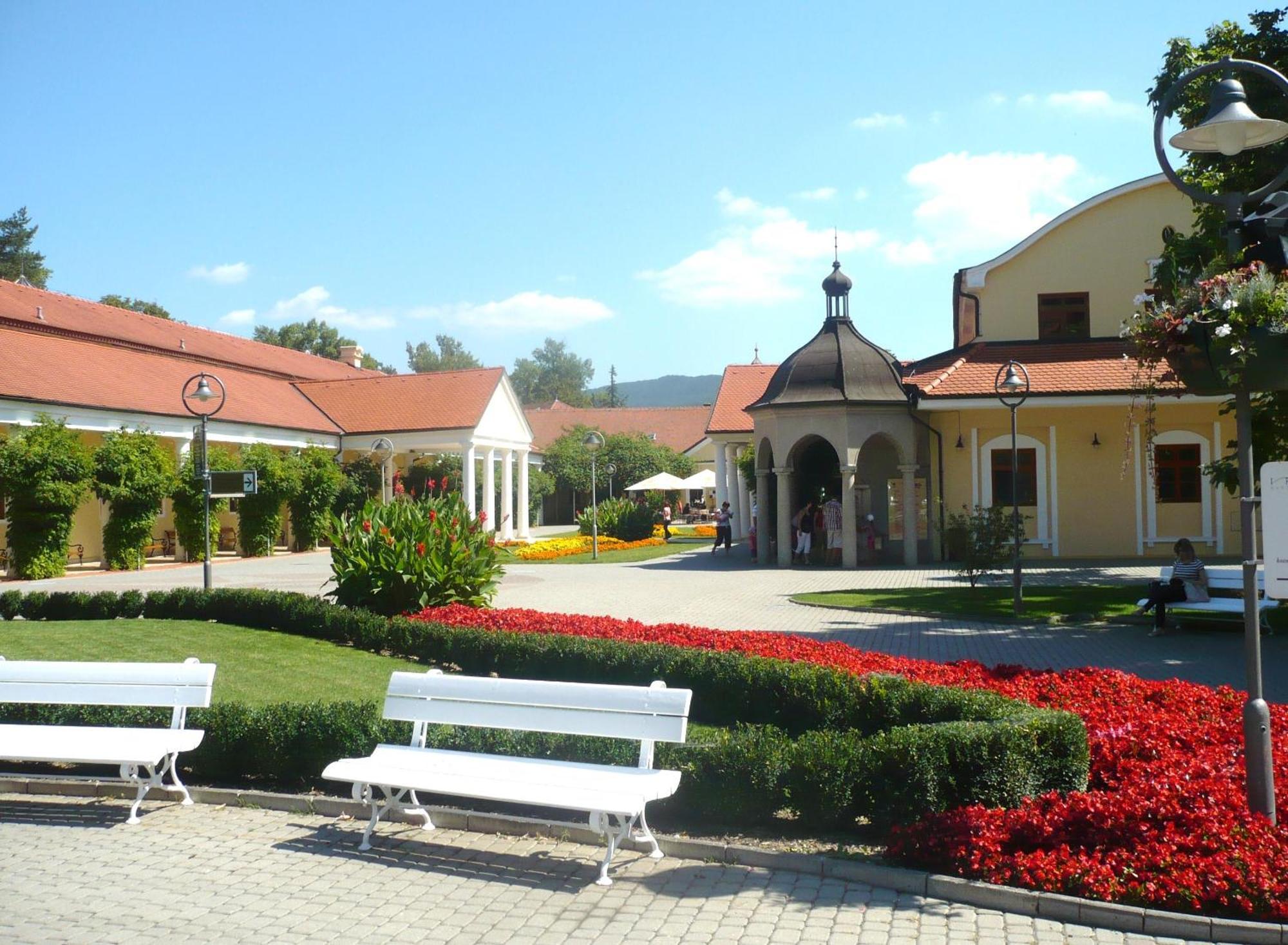 Villa Paris Piest'any Exterior foto